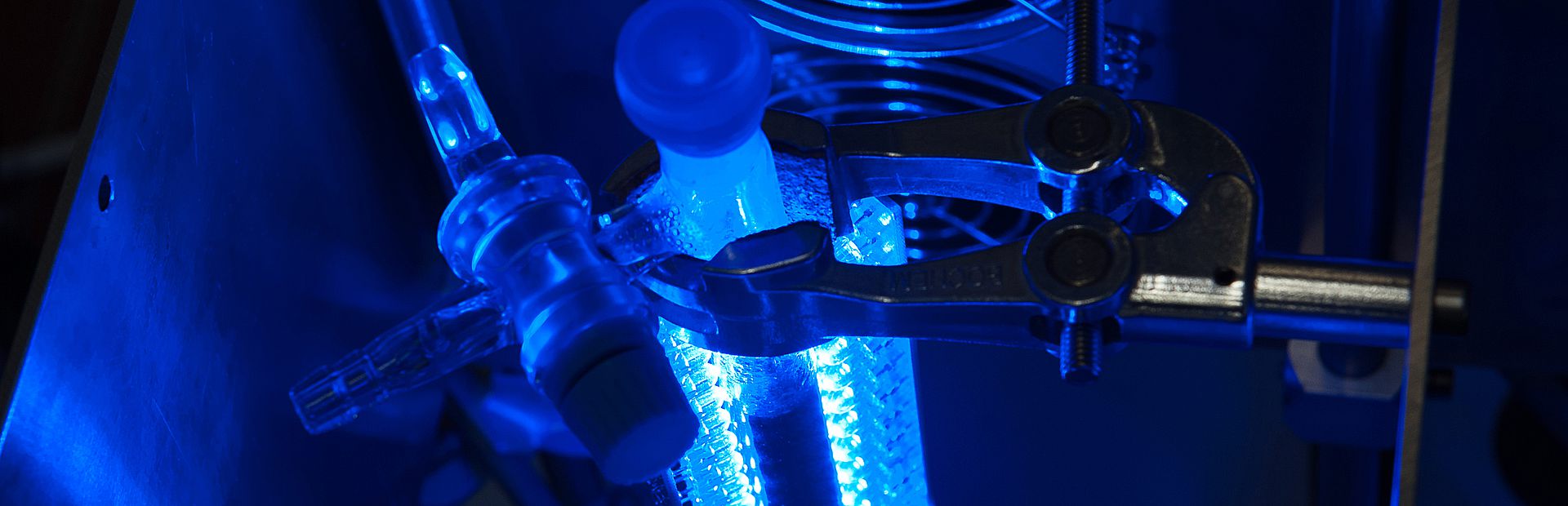 Visionäre Technologien für grünen Wasserstoff Forschung zur innovativen Gewinnung von grünem Wasserstoff